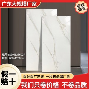 廣東佛山陶瓷墻磚600×1200通體大理石無線連紋 大量現(xiàn)貨工程磚